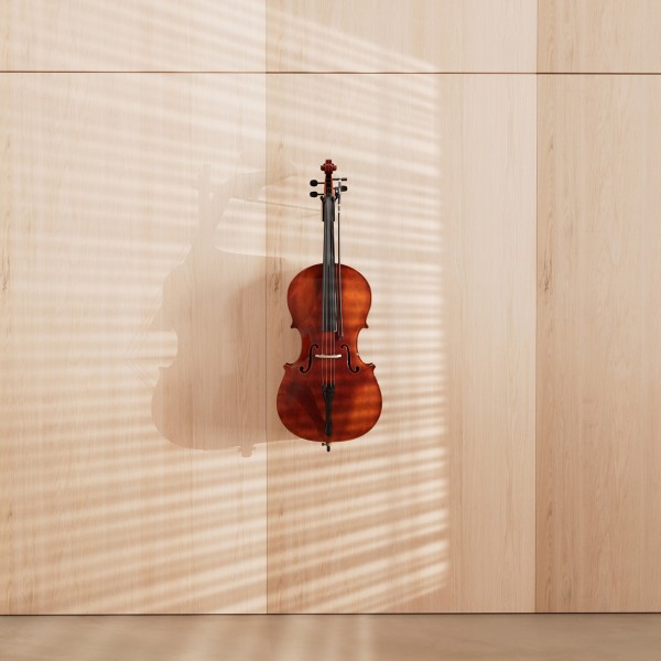 CC03F4 Flat wall mount cello hanger black