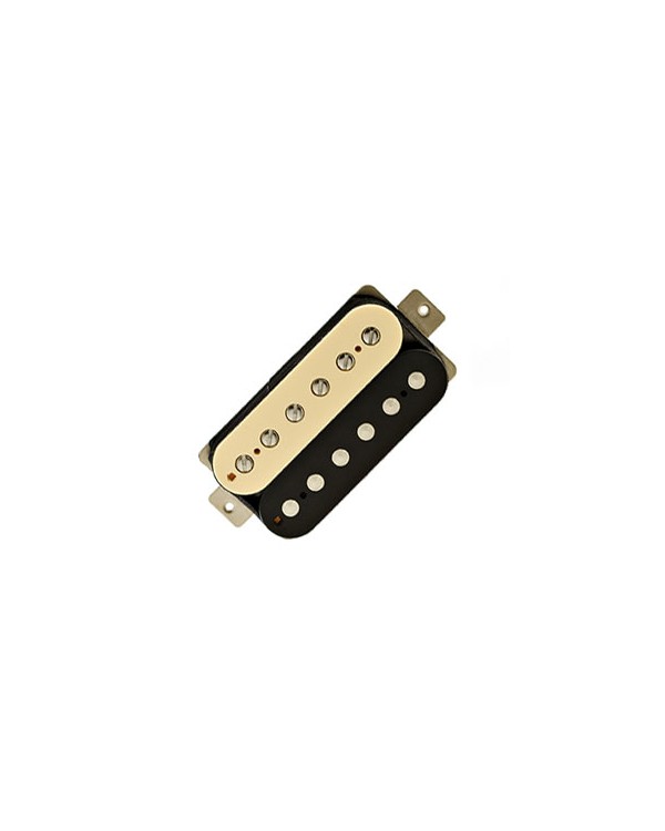 Imperial F-space bridge zebra 4C