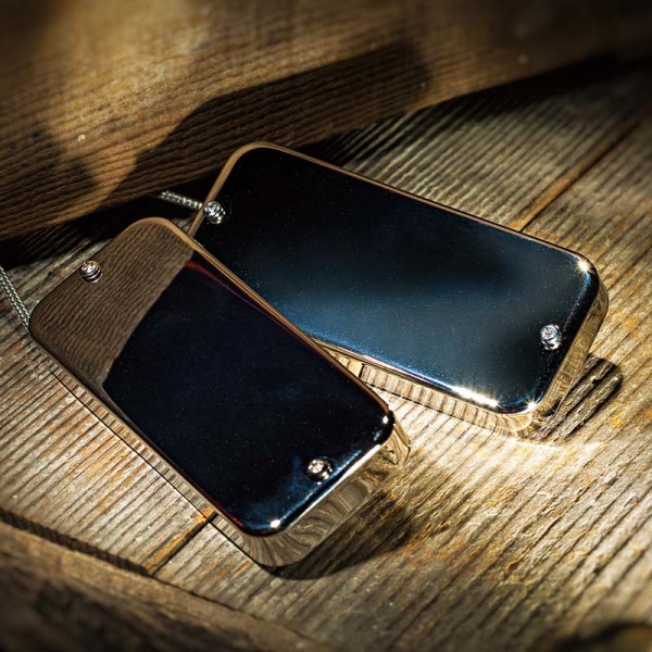 Thunderbird neck chrome 4S