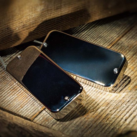Thunderbird neck chrome 4S