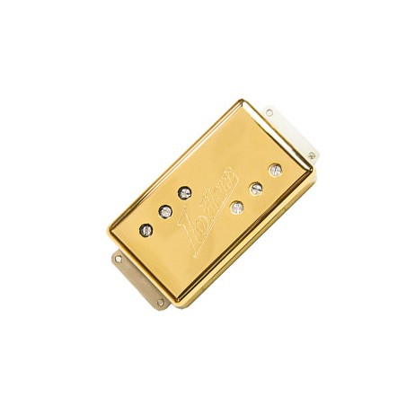 Regal WRHB neck gold with nickel pole screws