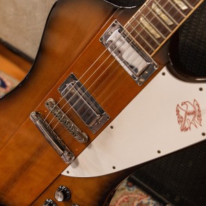 Firebird & the bird